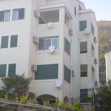 Apartman Ozi Petrovac 外观 照片