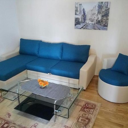Apartman Ozi Petrovac 外观 照片