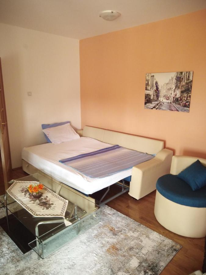 Apartman Ozi Petrovac 外观 照片