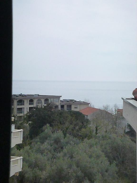 Apartman Ozi Petrovac 外观 照片