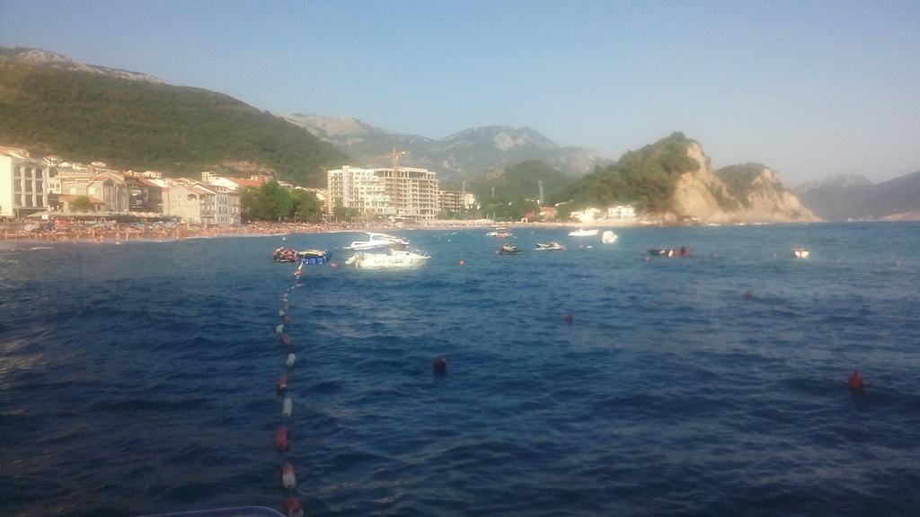 Apartman Ozi Petrovac 外观 照片
