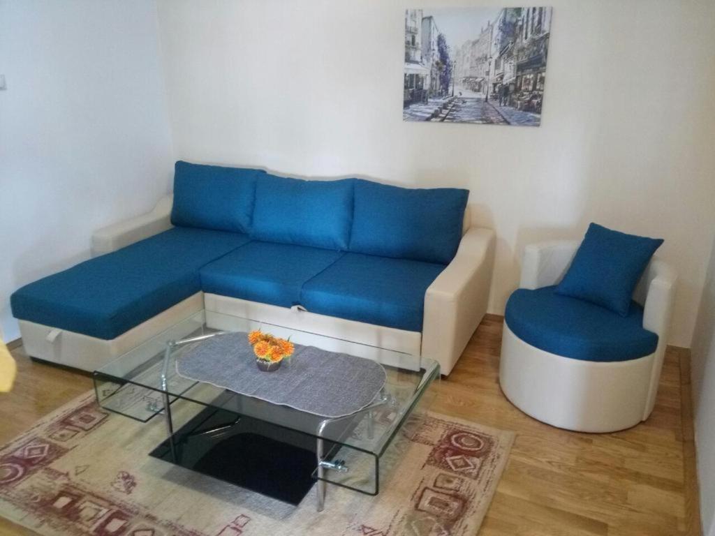 Apartman Ozi Petrovac 外观 照片
